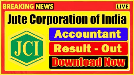 JCI Accountant Result 2025